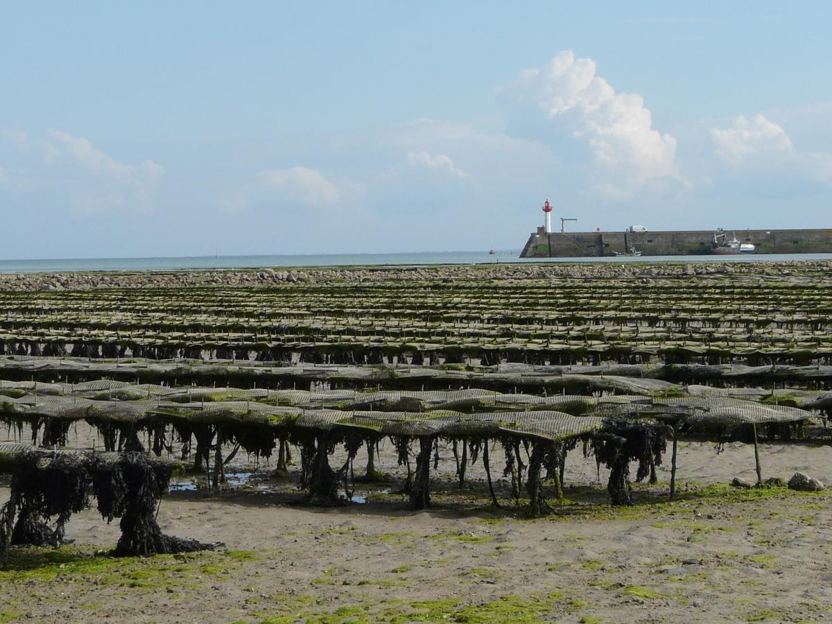 La Granitiere Maison De Charme Saint-Vaast-la-Hougue Eksteriør bilde